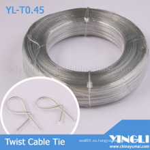 Clavija de cable de torsión plana doble transparente (YL-T0.45)